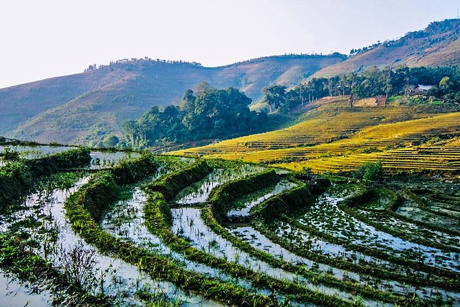 Trekking Through Rice Terraced Fields - 1Day - Lunch and the value of what is included