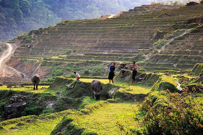 Trekking Through Rice Terraced Fields - 1Day - Guides make or break this trek, and the names matter