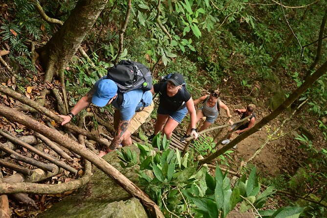 Trekking Tien Son Dinh Phu Quoc - Quick hits before you book