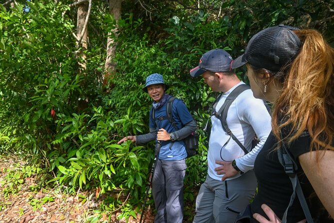 Trekking Tien Son Dinh Phu Quoc - Tien Son Dinh: the 6 km jungle climb with real payoff