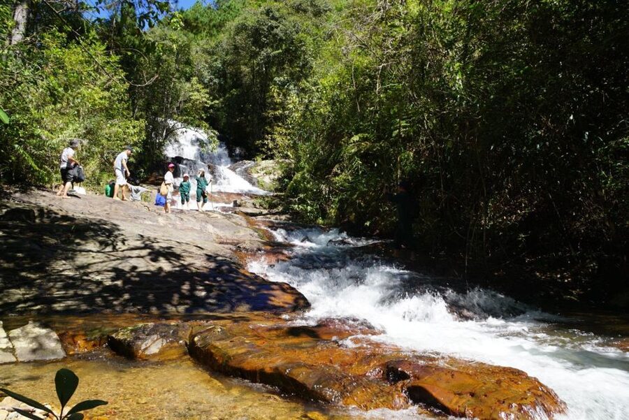 Trekking to Hidden Waterfall & Sturgeon Farm for dog-lovers - Quick reasons you will love this walk