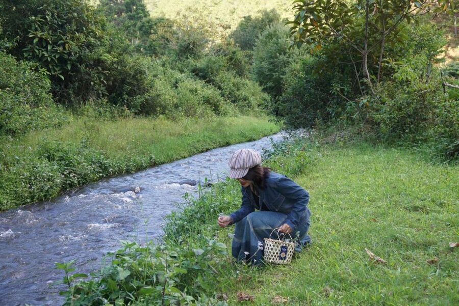 Trekking to Hidden Waterfall & Sturgeon Farm for dog-lovers - Twin Beans Farm: why this starts in the right place