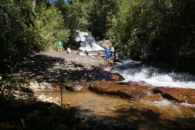Trekking Tour to Hidden Waterfall & Sturgeon Farm for dog-lovers - From Twin Beans Farm to the sturgeon farm: the hike with a purpose