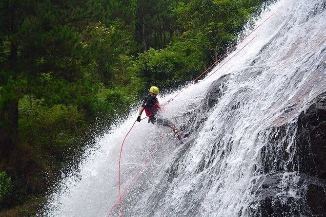 Trekking Tour to Hidden Waterfall & Sturgeon Farm for dog-lovers - The 7 dogs assistant tour guide: more than a gimmick