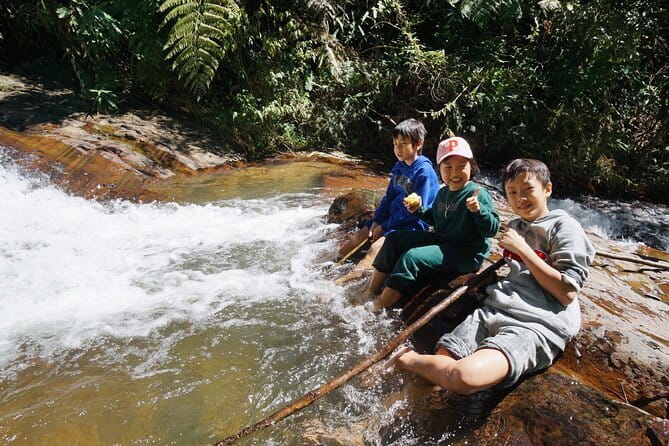 Trekking Tour to Hidden Waterfall & Sturgeon Farm for dog-lovers - Coffee at Twin Beans Farm, plus workshops that can fit around your day