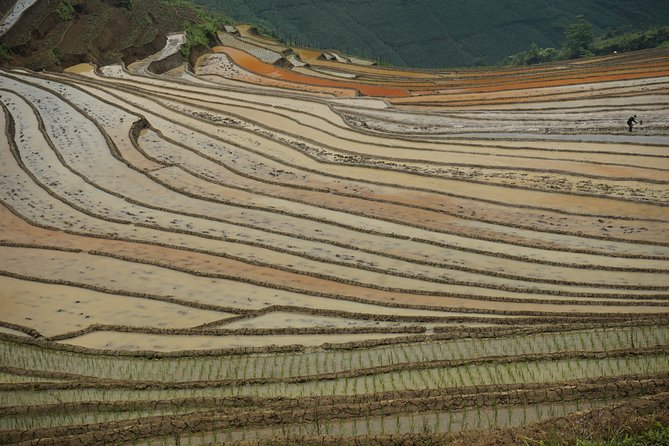 Ultimate Sapa Motorbike Tour: Villages & Waterfalls - The Lonely Tree of O Quy Ho and the big-photo timing