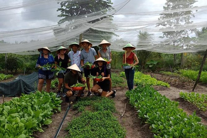 Unique farm to Table cooking class in Saigon - What happens on the farm: harvest, herbs, and nutrition talk