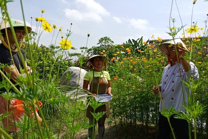 Unique farm to Table cooking class in Saigon - The cooking class: four dishes, your station, and clear steps