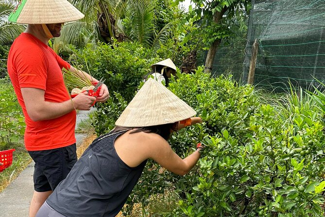 Unique Farm to Table Cooking Class with Top Chef in Vietnam - How you can repeat this at home (and why that’s the real value)