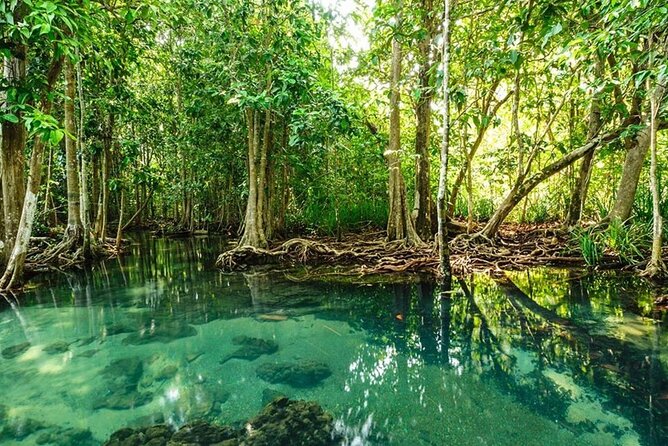 Vam Sat Mangrove Forest - VIP Private Tour - Tired Yet? The 26m High Climb and the Purpose of It