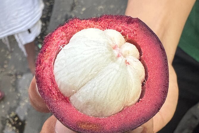 Vegan Food Tour - Untold Stories of Hoi An - How the guide shapes the whole experience