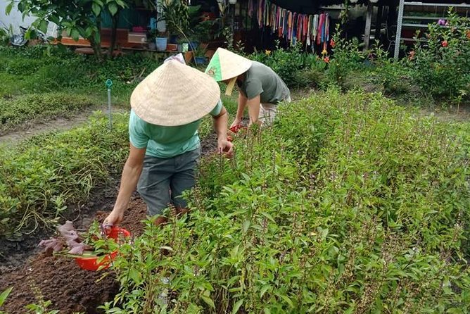 Vietnamese Cooking Class and Cu Chi Tunnels Tour from Ho Chi Minh City - Lunch you cook: why four courses feels like the right amount