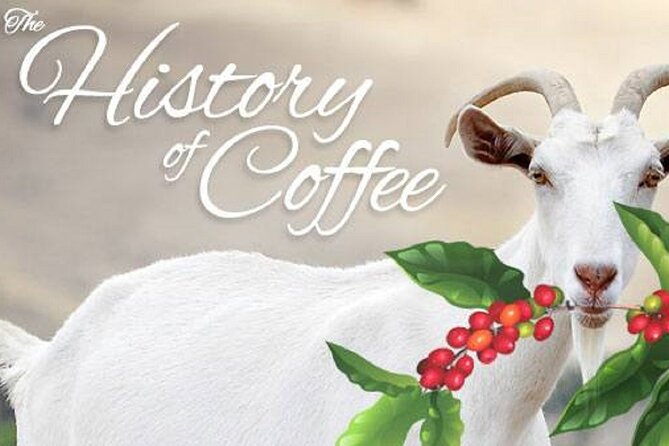 Vietnamese Culture and Coffee Making Class - The cultural story: coffee in Vietnam is shaped by history