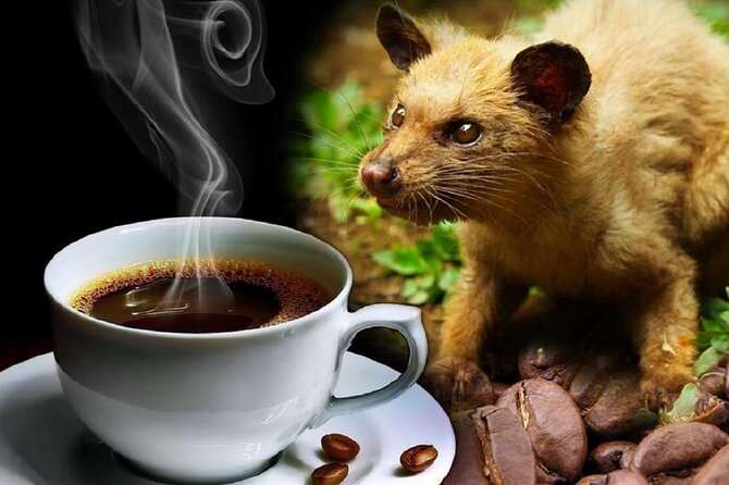 Vietnamese Culture and Coffee Making Class - How to enjoy it more: practical tips before you brew