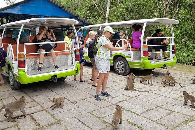 VIP Tour in Vam Sat: Can Gio Mangrove Forest by SpeedBoat - Can Gio Mangrove Biosphere: why this UNESCO reserve is more than scenery