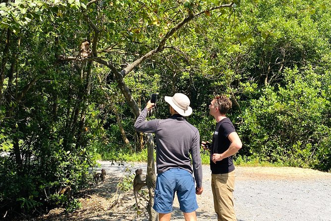 VIP Tour in Vam Sat: Can Gio Mangrove Forest by SpeedBoat - VIP tour style: English guide, small group, and fewer headaches