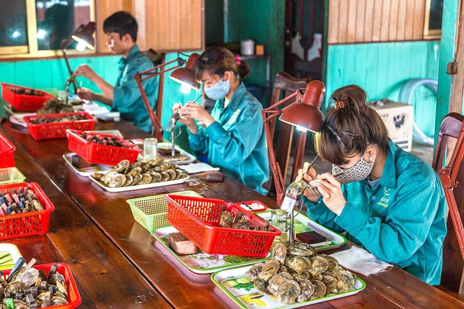 Wellness Detox Journey In Vietnam - Days 6 and 7: biking, yoga, zipline and highwire, then juicing again